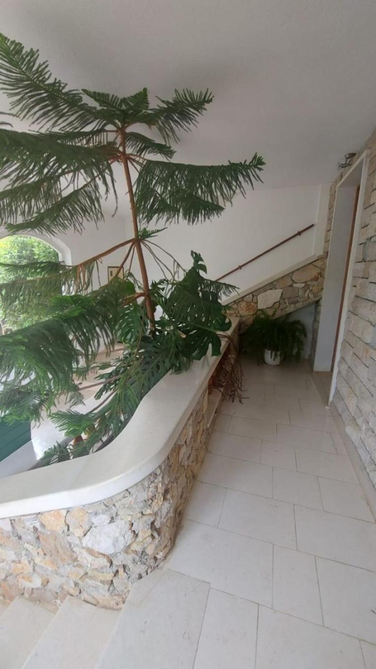 Apartment Brane بول المظهر الخارجي الصورة
