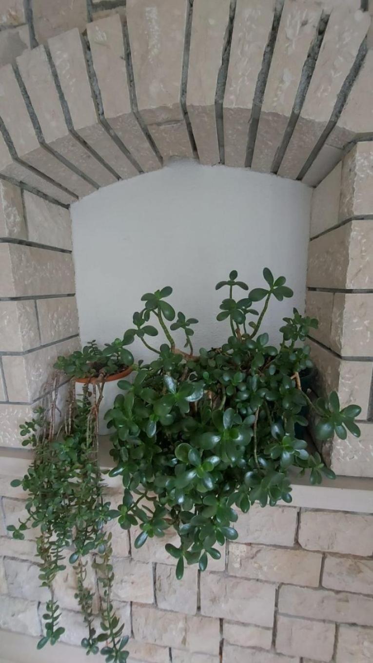 Apartment Brane بول المظهر الخارجي الصورة